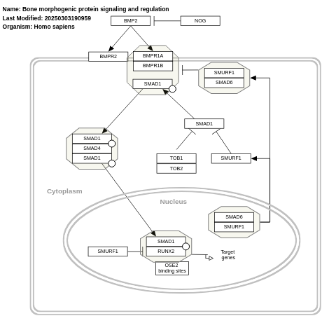 Bone morphogenic protein signaling and regulation