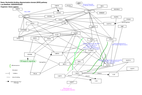 Nucleotide-binding oligomerization domain (NOD) pathway