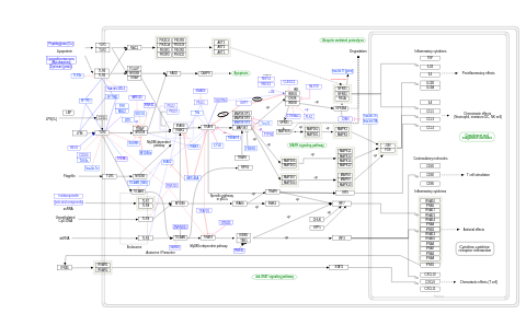 Regulation of toll-like receptor signaling