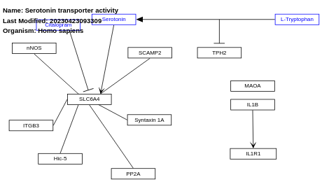 Serotonin transporter activity