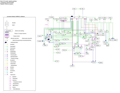 Kit receptor signaling pathway