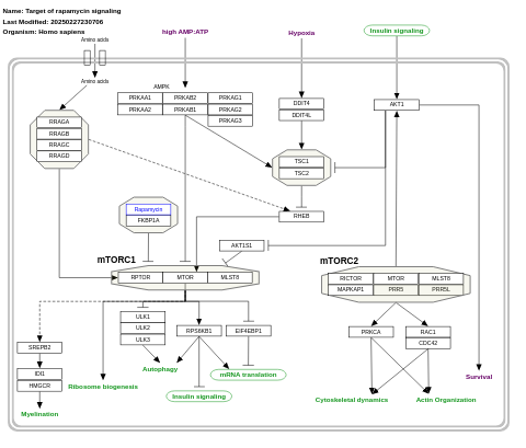 Target of rapamycin signaling