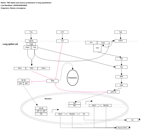 TNF-alpha and mucus production in lung epythelium