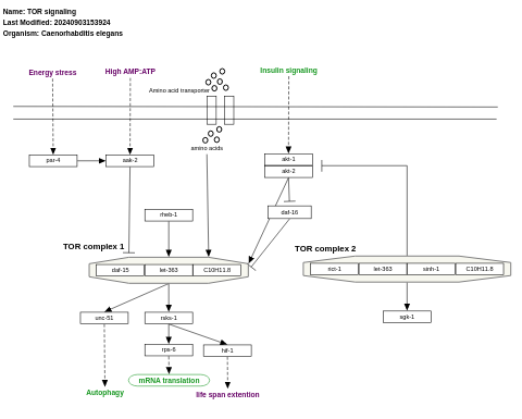 TOR signaling