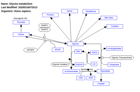 Glycine metabolism