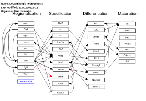 Dopaminergic neurogenesis