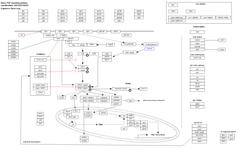 FGF signaling pathway