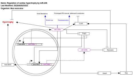 Regulation of cardiac hypertrophy by miR-208