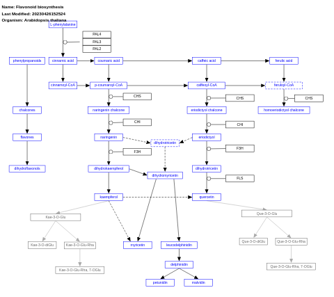 Flavonoid biosynthesis