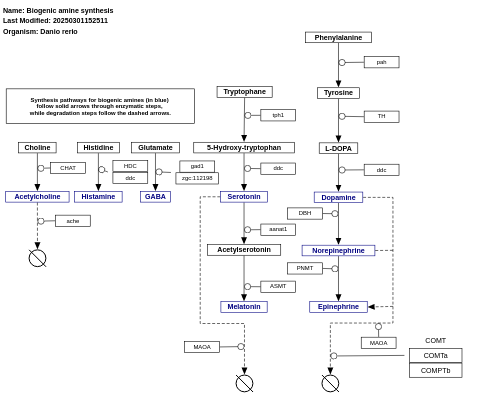 Biogenic amine synthesis