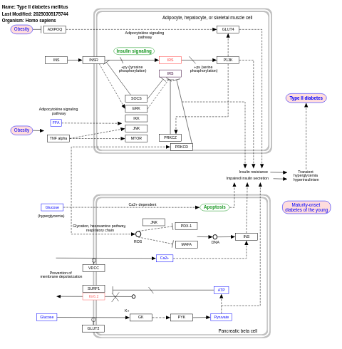 Type II diabetes mellitus