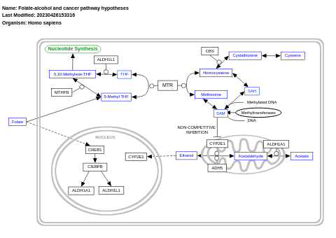 Folate-alcohol and cancer pathway hypotheses