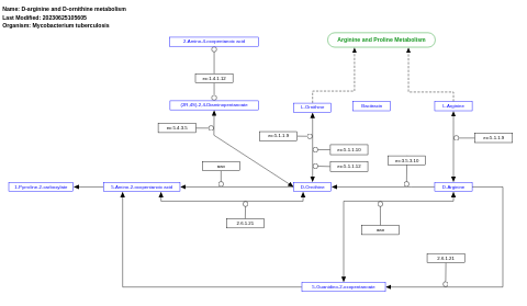 D-arginine and D-ornithine metabolism