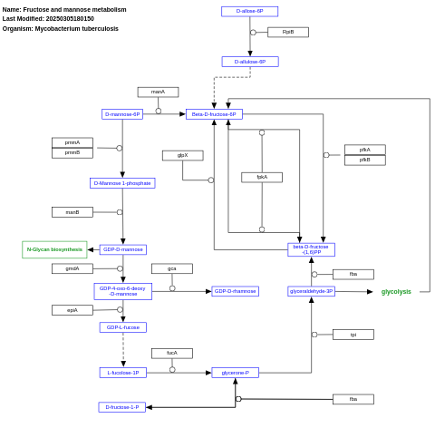 Fructose and mannose metabolism