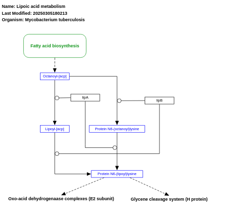 Lipoic acid metabolism