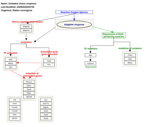 Oxidative stress response