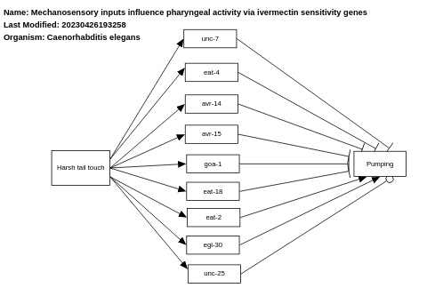 Mechanosensory inputs influence pharyngeal activity via ivermectin sensitivity genes