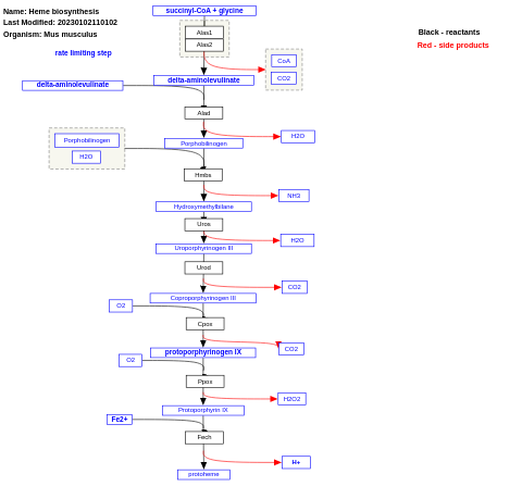 Heme biosynthesis