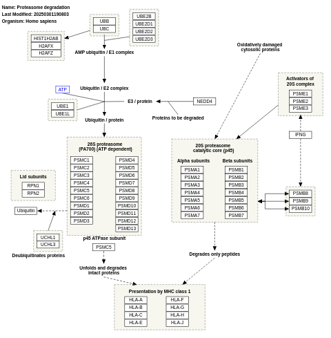 Proteasome degradation