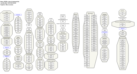 GPCRs, class A rhodopsin-like