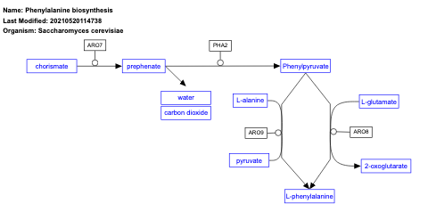 Phenylalanine biosynthesis