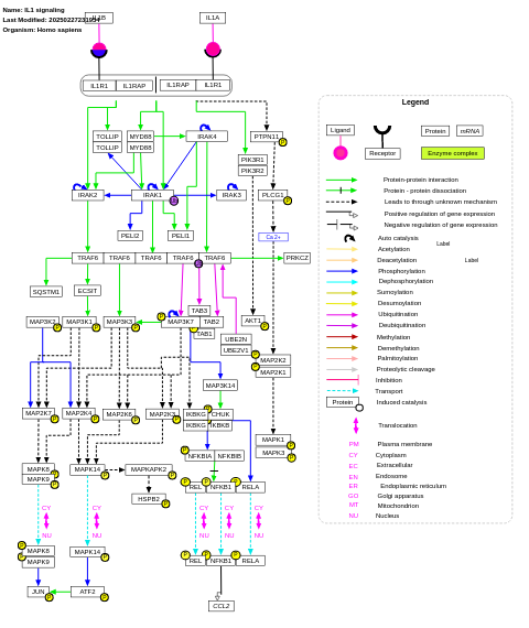 IL-1 signaling pathway