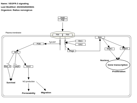 VEGFR-3 signaling