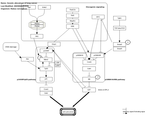 Genetic alterations of lung cancer