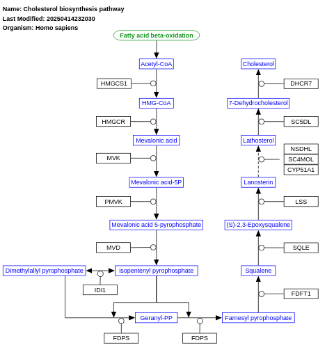 Cholesterol biosynthesis pathway