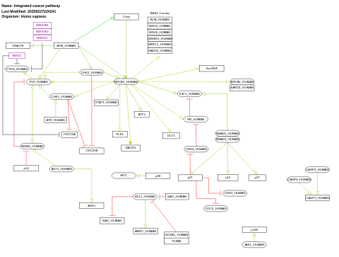 Integrated cancer pathway