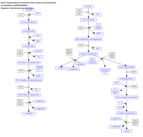 Isoleucine, leucine, and valine biosynthesis