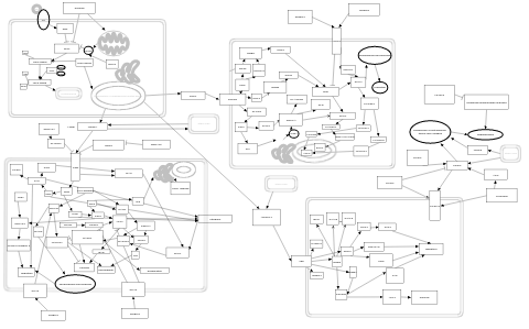 Angiogenesis overview