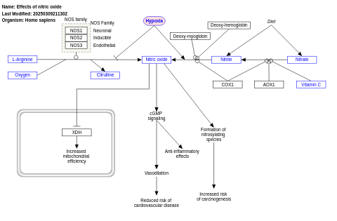 Effects of nitric oxide