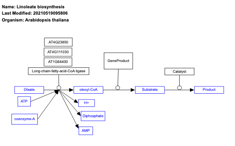 Linoleate biosynthesis