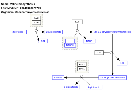 Valine biosynthesis