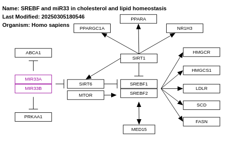 SREBF and miR33 in cholesterol and lipid homeostasis