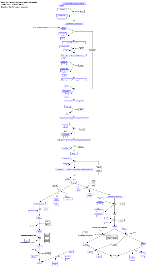 De novo biosynthesis of purine nucleotides