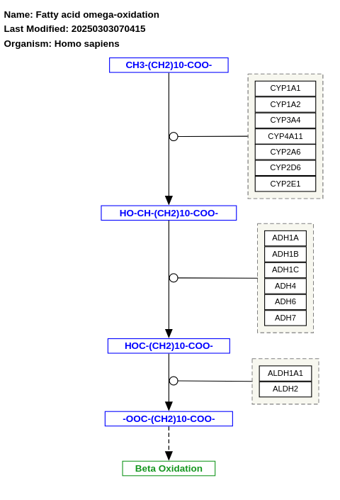 Fatty acid omega-oxidation