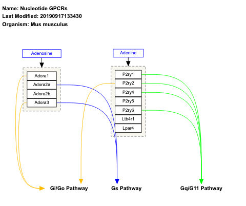 Nucleotide GPCRs