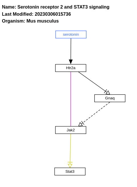 Serotonin receptor 2 and STAT3 signaling