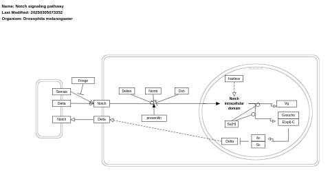 Notch signaling pathway