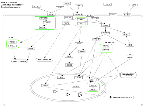 IL-17 signaling pathway