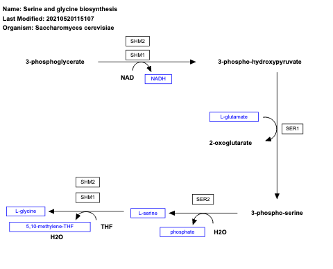 Serine and glycine biosynthesis
