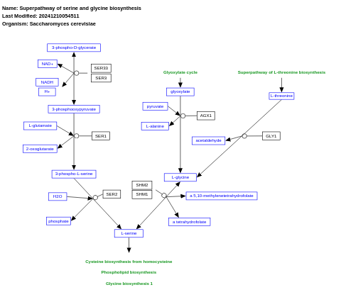 Serine and glycine biosynthesis