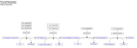 Cardiolipin biosynthesis