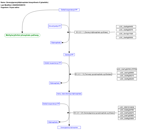 Geranylgeranyldiphosphate biosynthesis II (plastidic)