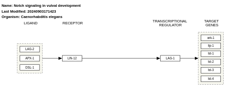 Notch signaling in vulval development