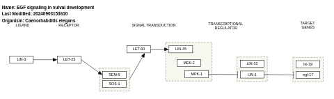 EGF signaling in vulval development