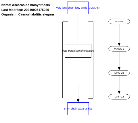 Ascaroside biosynthesis