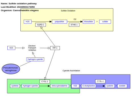 Sulfide oxidation pathway